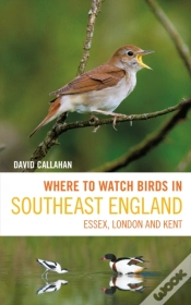 Capa do artigo Where To Watch Birds In Southeast England