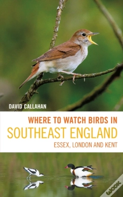 Capa do artigo Where To Watch Birds In Southeast England