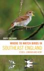 Where To Watch Birds In Southeast England - Preview