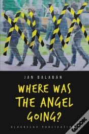 Capa do artigo Where Was The Angel Going?
