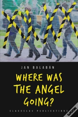 Capa do artigo Where Was The Angel Going?