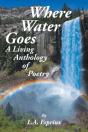 Where Water Goes - Preview