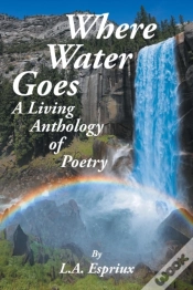 Capa do artigo Where Water Goes