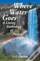 Where Water Goes