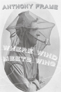 Where Wind Meets Wing - Preview