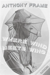 Where Wind Meets Wing