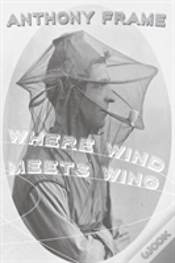 Capa do artigo Where Wind Meets Wing