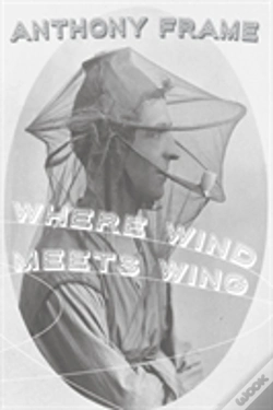 Capa do artigo Where Wind Meets Wing