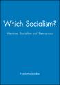 Which Socialism? - Preview