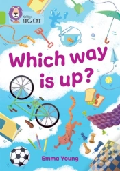 Capa do artigo Which Way Is Up?