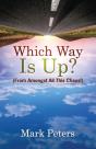 Which Way Is Up?: From Amongst All This Chaos! - Preview