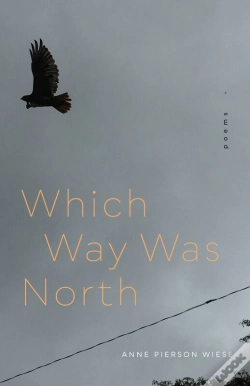 Capa do artigo Which Way Was North