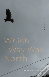 Capa do artigo Which Way Was North