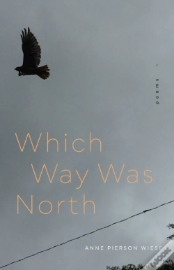 Capa do artigo Which Way Was North