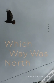 Capa do artigo Which Way Was North