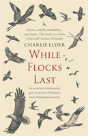 While Flocks Last - Preview