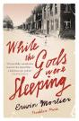 While The Gods Were Sleeping - Preview
