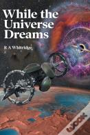 While The Universe Dreams