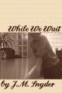 While We Wait - Preview