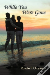 Capa do artigo While You Were Gone