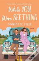 While You Were Seething
