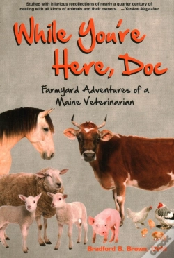 Capa do artigo While You'Re Here, Doc