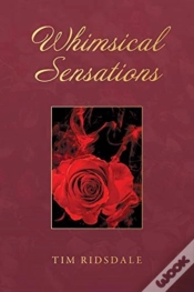 Capa do artigo Whimsical Sensations
