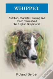 Whippet