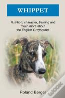 Whippet
