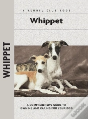 Capa do artigo Whippet