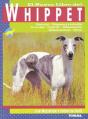 Whippet - Preview