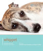 Whippet - Preview