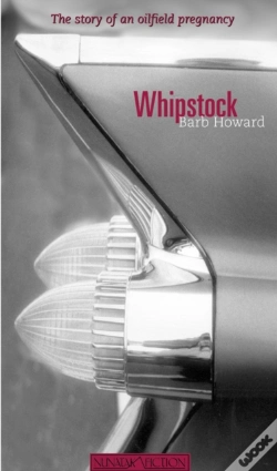Capa do artigo Whipstock