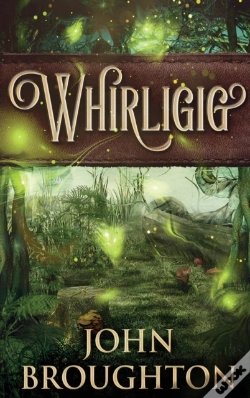 Capa do artigo Whirligig