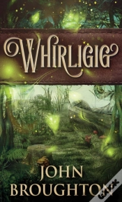 Capa do artigo Whirligig