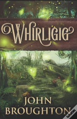 Capa do artigo Whirligig