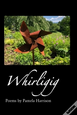 Capa do artigo Whirligig