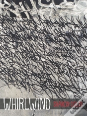 Capa do artigo Whirlwind