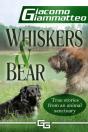 Whiskers And Bear - Preview