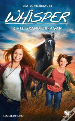 Capa do artigo Whisper, T6 : Le Grand Ouragan