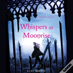Capa do artigo Whispers At Moonrise
