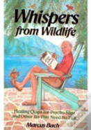 Whispers From Wild Life