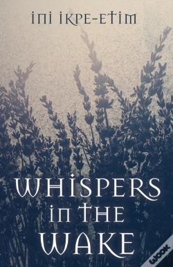 Capa do artigo Whispers In The Wake