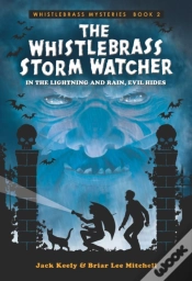 Capa do artigo Whistlebrass Storm Watcher