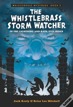 Capa do artigo Whistlebrass Storm Watcher