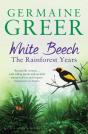 White Beech - Preview