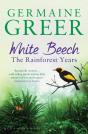 White Beech - Preview