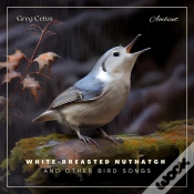 Capa do artigo White-Breasted Nuthatch And Other Bird Songs
