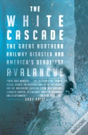 Capa do artigo White Cascade