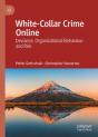 White-Collar Crime Online - Preview